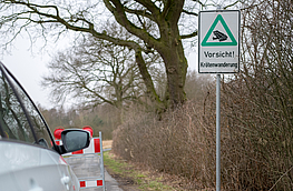 Zum Schutz von Amphibien werden einige Straßen in Wallenhorst gesperrt. Für den Kraftfahrzeugverkehr sind kurze Umleitungsstrecken eingerichtet.