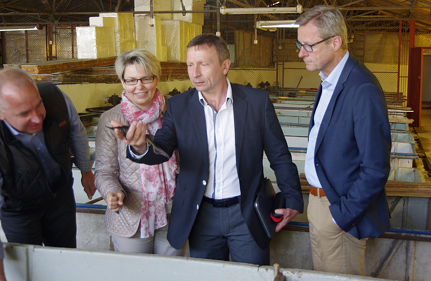 Marek Szczukowski, Geschäftsführer des Fischzuchtbetriebes „Antonius Caviar“, zeigt Bürgermeisterin Irena Derdoń, Dolmetscher Marek Wanik und Bürgermeister Otto Steinkamp (von links) die Aufzucht von 200.000 Stören.