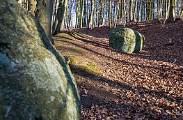 Hollager Steine