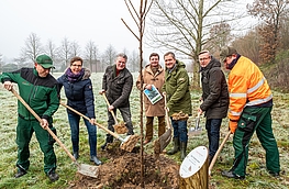 Pflanzen mit vereinten Kräften eine Flatterulme in der Nähe der Hofstelle Duling (von links): Josef Nölker, Claudia Broxtermann, Hubert Pohlmann, Udo Stangier, Guido Pott, Bürgermeister Otto Steinkamp und Alois Wächter.