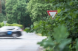 Zugewachsenes Verkehrsschild vor einer Straßenkreuzung.