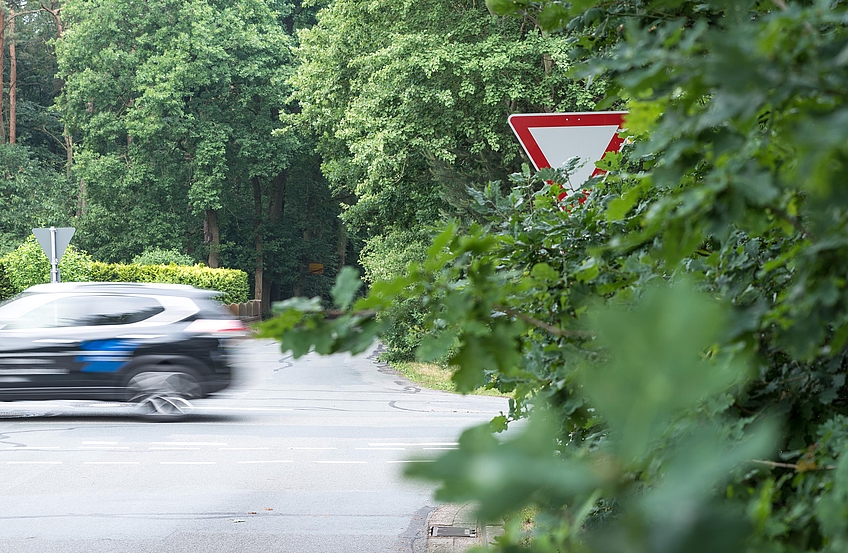 Zugewachsenes Verkehrsschild vor einer Straßenkreuzung.