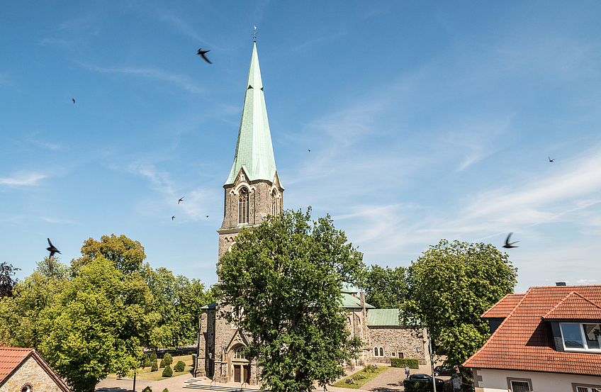Mauersegler umkreisen die St. Alexanderkirche in Wallenhorst.