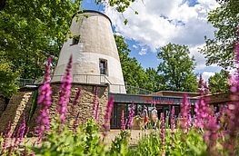 Jugendfreizeitstätte Hollager Mühle