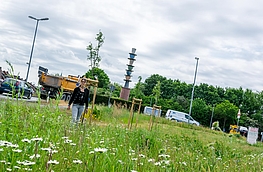 Isabella Markfort erkundet die Blühfläche am Tassenkreisel