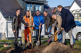 Eine Echte Mehlbeere wird als Baum des Jahres an der Windthorststraße in Wallenhorst gepflanzt.