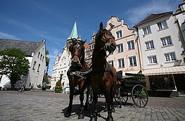 Ziel des Ausflugs: Warendorf – hier die Altstadt. Foto: Warendorf Marketing