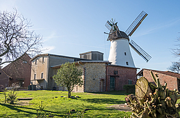 Bei einer Führung können die Gäste auch hinter die Kulissen der Windmühle Lechtingen schauen.