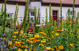 Erstmals mit dabei: der Garten des Ruller Hauses.