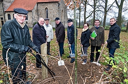Tatkräftiger Einsatz (von links): Franz Beering, Pfarrer Dietmar Schöneich, Georg Hemme, Günter Recker, Karl Burmeister, Barbara Bender, Udo Stangier und Bürgermeister Otto Steinkamp pflanzten eine Traubeneiche an der Alten Kirche.